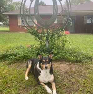 Meet your Posher, Andria